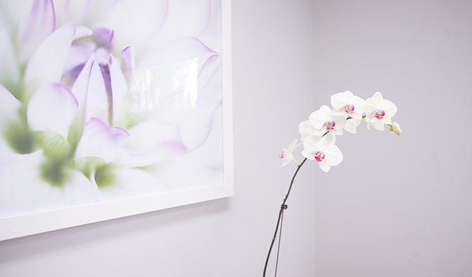 Orchid on dental office front desk